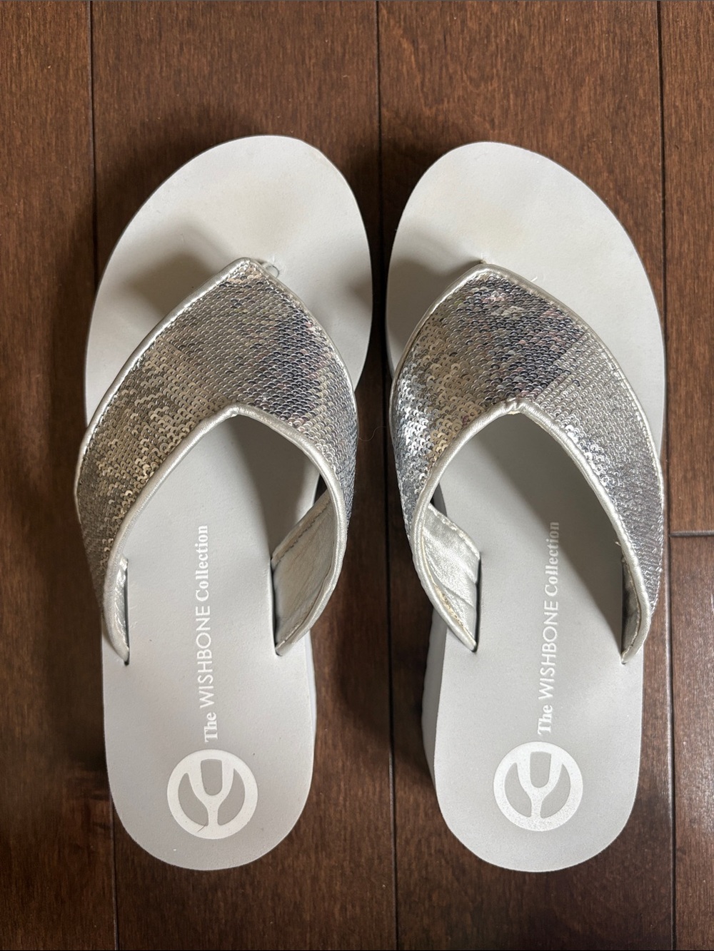 The WISHBONE Collection Silver Metallic Women's Thong Sandals